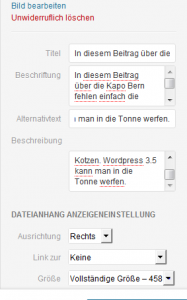 Das Feld zum Beschriften der hochgeladenen Dateien ist auf einmal ganz winzig und anwenderfeindlich. Keiner macht so kurze Bildbeschriftungen...