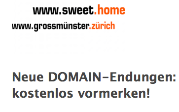 So wirbt der umstrittene Anbieter Switchplus GmbH für die neue Zuerich-Domain: Grossmünster.zuerich hält er für eine gute Domäne!